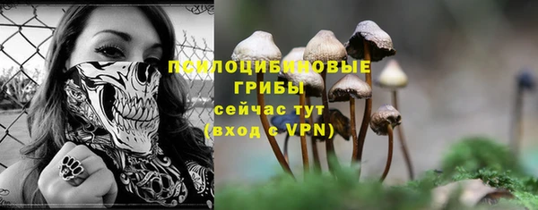 кристаллы Богородск